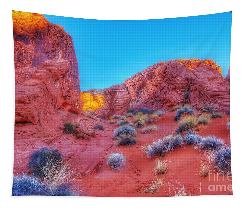  Tapestry featuring the photograph Life on Mars 2 by Rodney Lee Williams