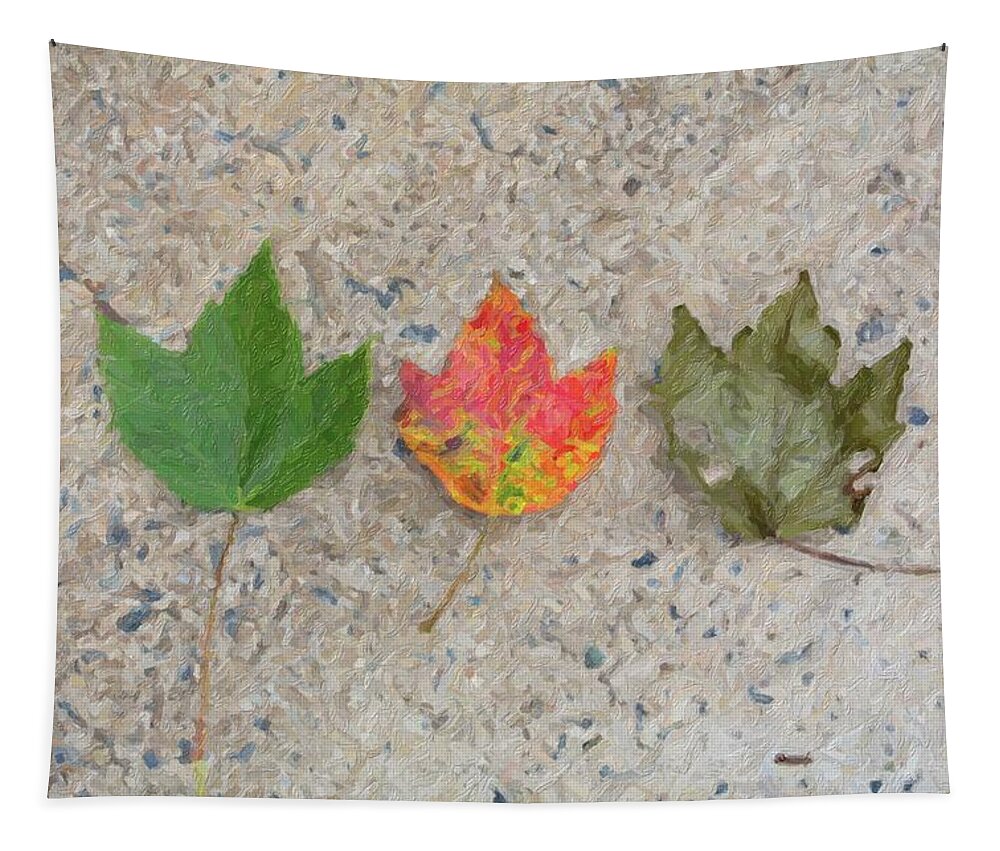 Leaf Tapestry featuring the photograph Lifecycle of a Leaf by Carolyn Ann Ryan