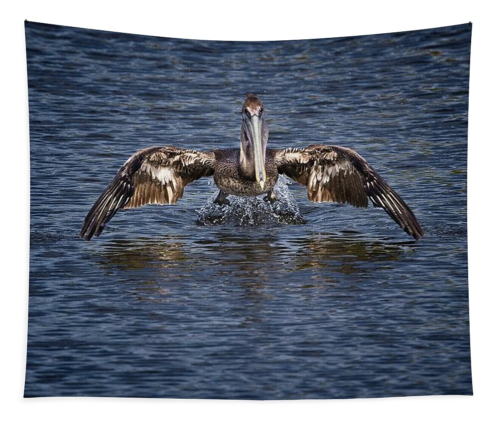 Brown Pelican Tapestry featuring the photograph Liftoff by Ronald Lutz