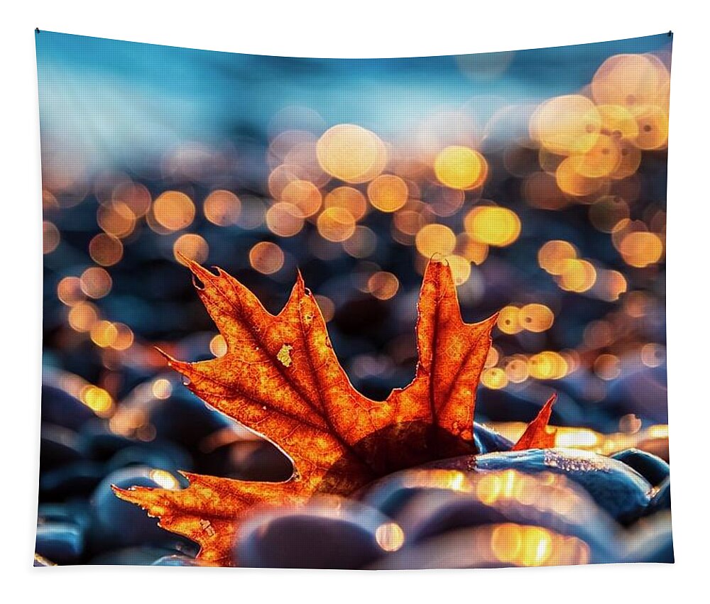 Leaf Tapestry featuring the photograph Light and Leeway by Terri Hart-Ellis