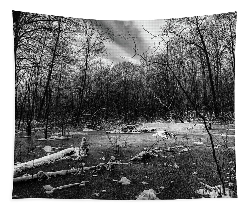 Halls Lake Tapestry featuring the photograph Light in the frozen swamp by Nathan Wasylewski