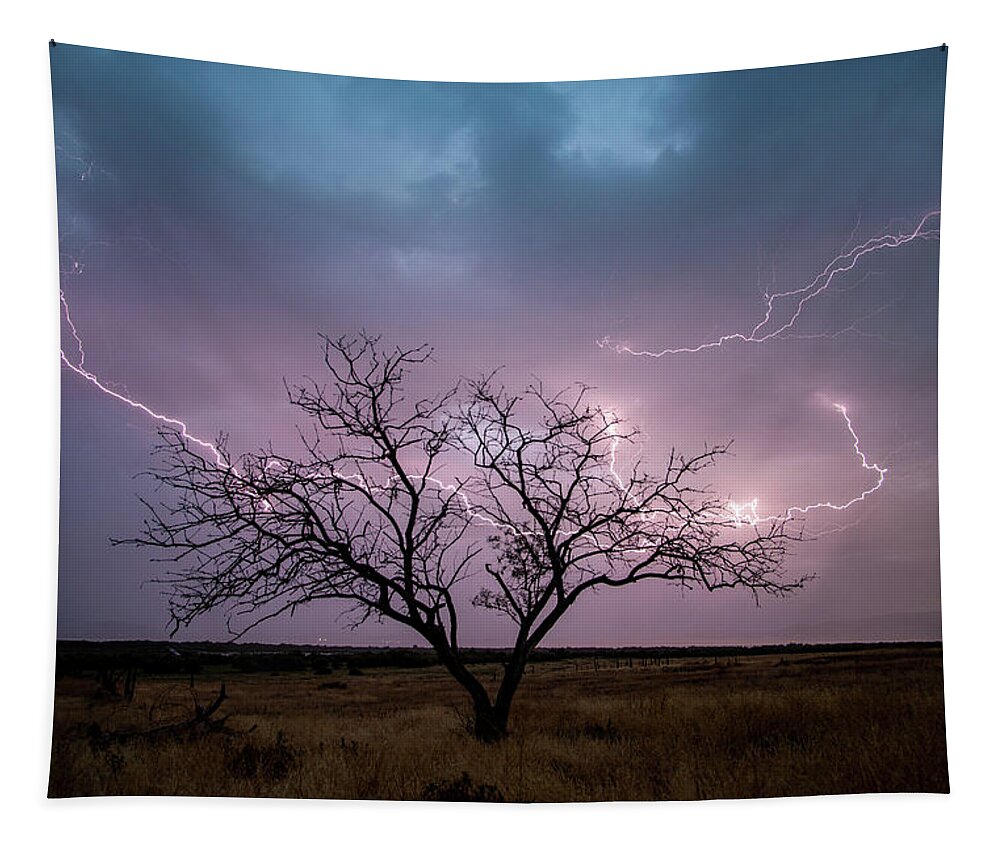 Storm Tapestry featuring the photograph Lightning Tree by Wesley Aston