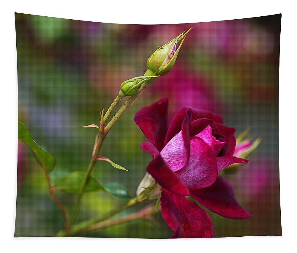 Rose Tapestry featuring the photograph Like Velvet Rose by Joy Watson