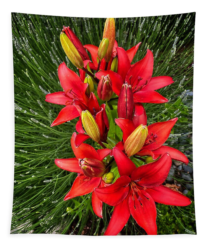 Lilium Tapestry featuring the photograph Lilium Blackout flower by Jerry Abbott