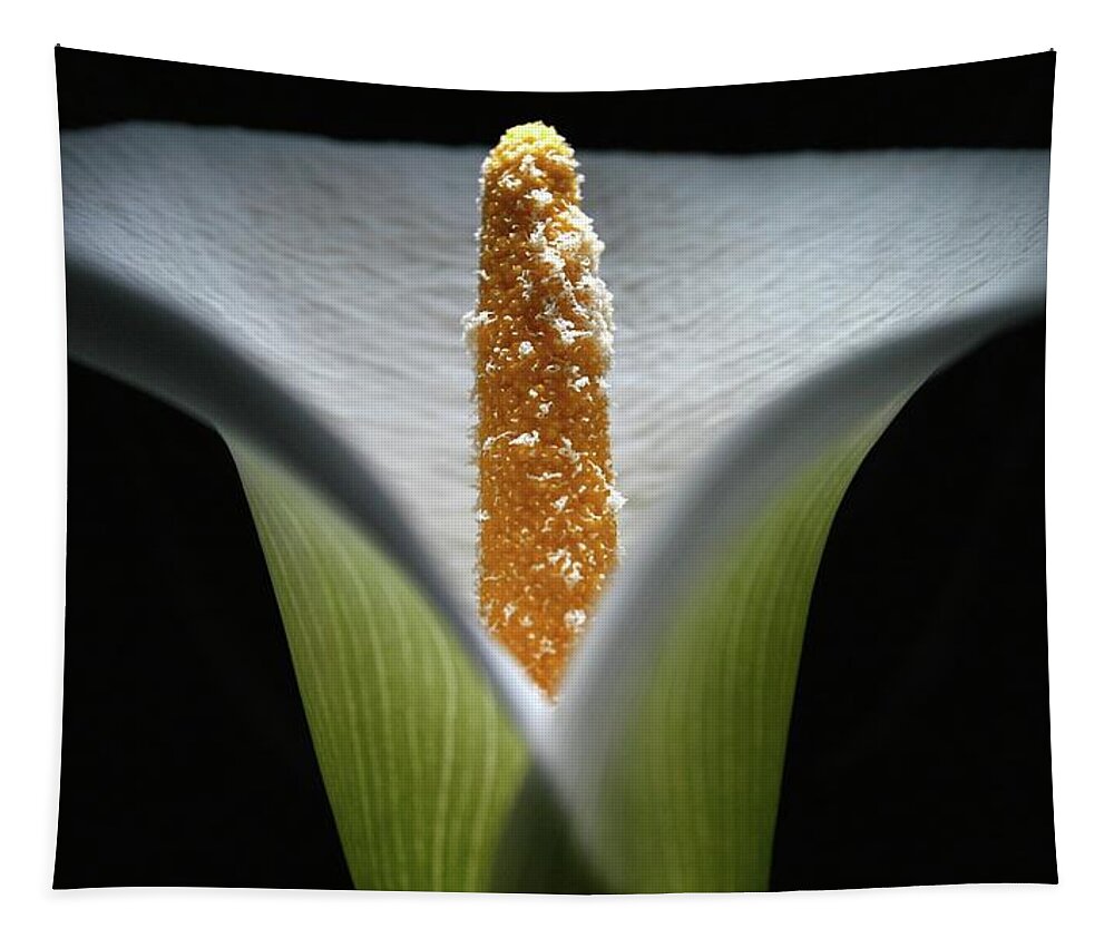 Macro Tapestry featuring the photograph Lily 041607 by Julie Powell
