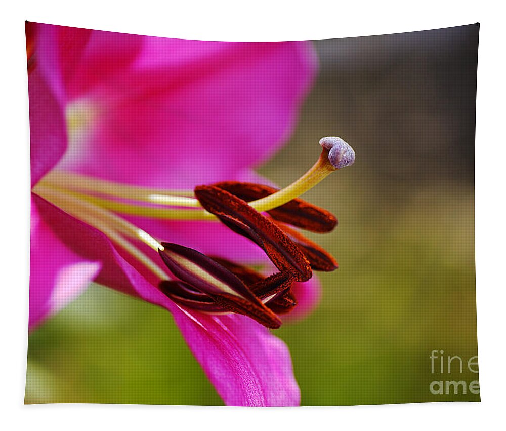 Pink Lily Tapestry featuring the photograph Lily Flowers Profile by Joy Watson