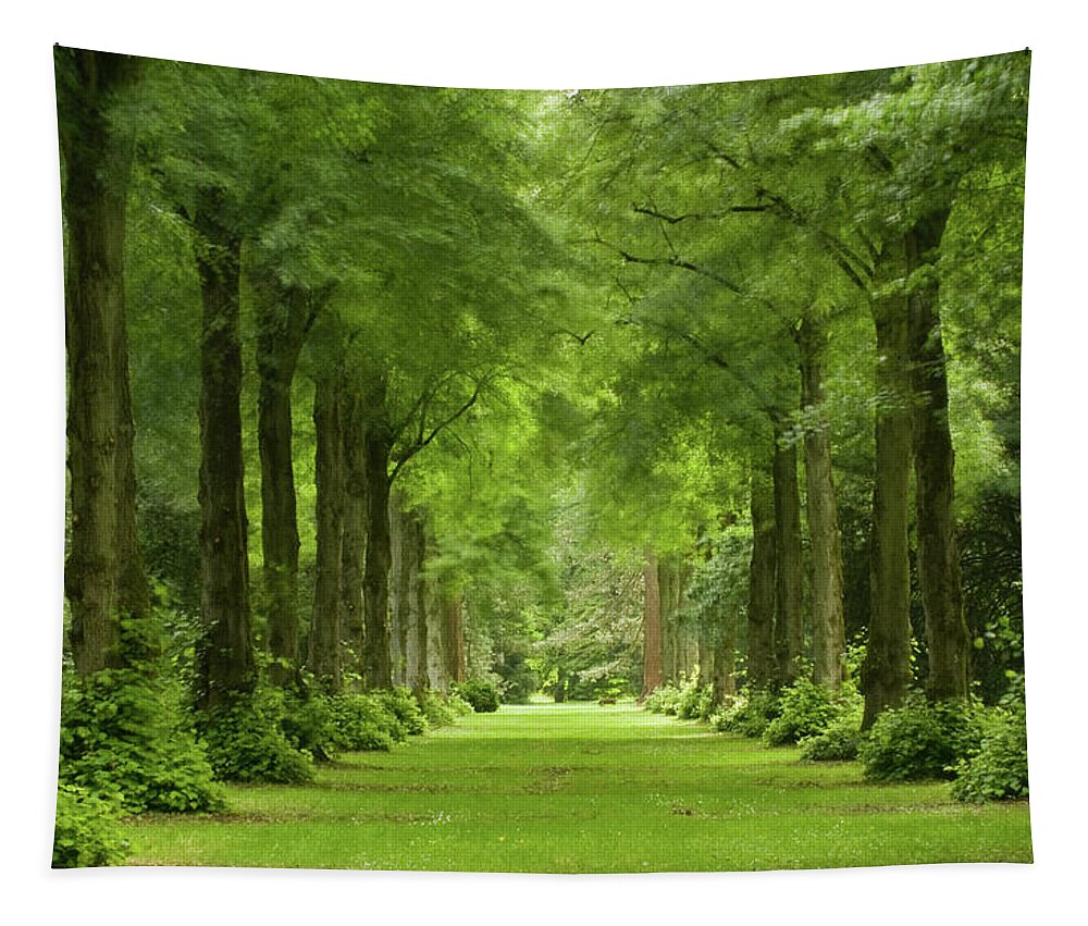 Green Tapestry featuring the photograph Lime Avenue, Westonbirt Arboretum, England, UK by Sarah Howard