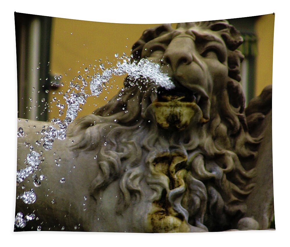 Lion Spitting Water Naples Italy Fountain Tapestry featuring the photograph Lion Spitting Water in Naples, Italy by David Morehead