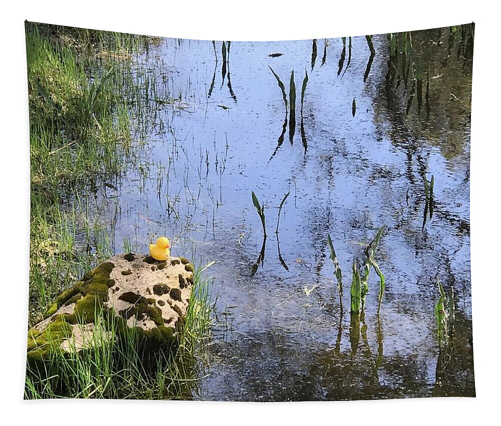 Rubber Duck Tapestry featuring the photograph Little Ducky by Vivian Aumond