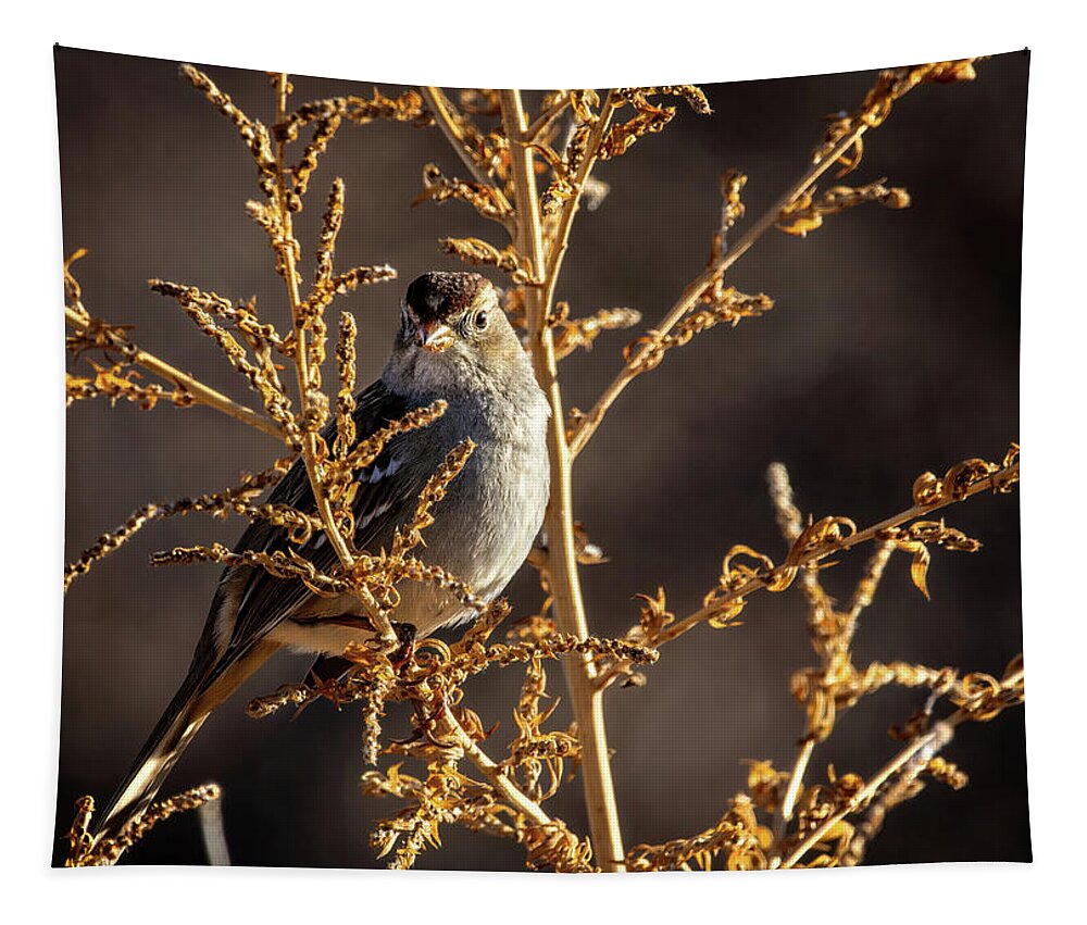 Dunnock Bird Tapestry featuring the photograph Little Dunnock Bird by Rebecca Herranen