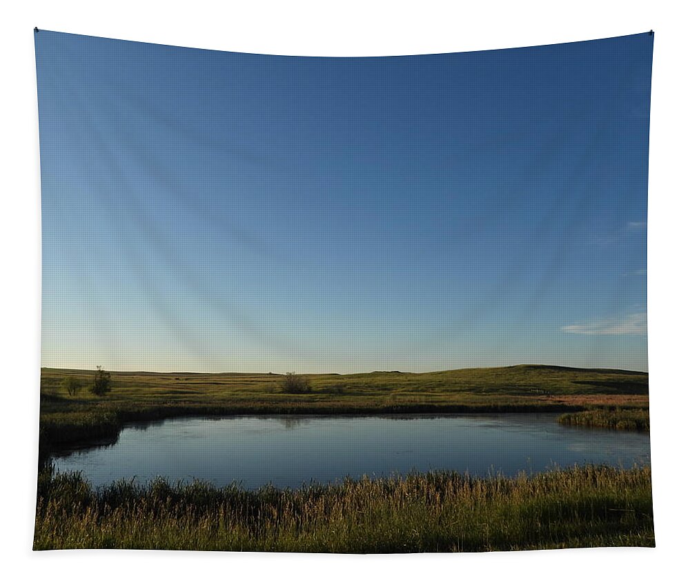 Pond Tapestry featuring the photograph Little Pond by Amanda R Wright