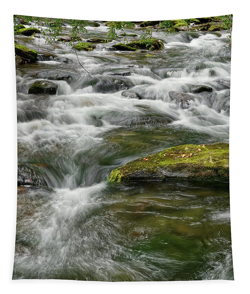 Smokies Tapestry featuring the photograph Little River 4 by Phil Perkins