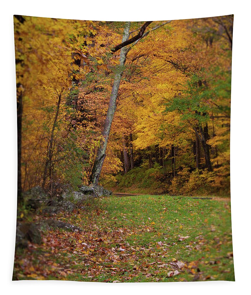 Art Prints Tapestry featuring the photograph Little River Road by Nunweiler Photography