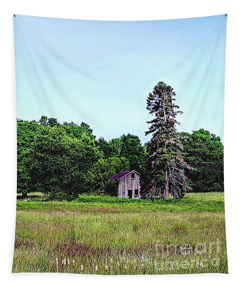 Shack Tapestry featuring the photograph Little Shack in the Prarie by Randy Pollard