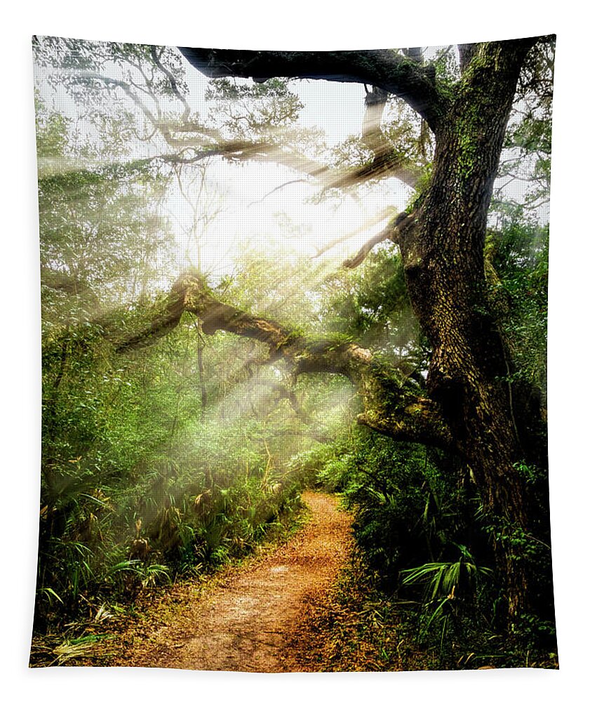 Clouds Tapestry featuring the photograph Little Talbot Island Sunlit Trail by Debra and Dave Vanderlaan