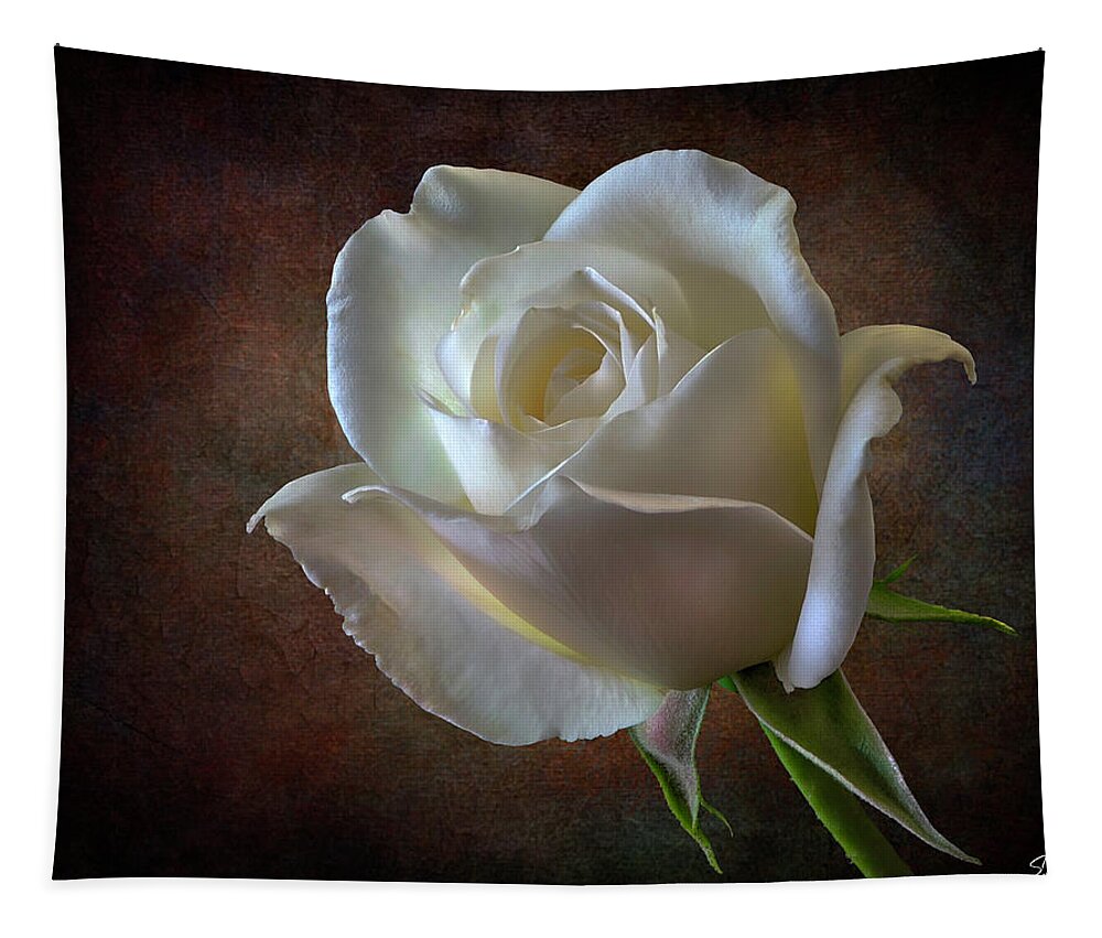 White Rose Tapestry featuring the photograph Little White Rose 2 by Endre Balogh