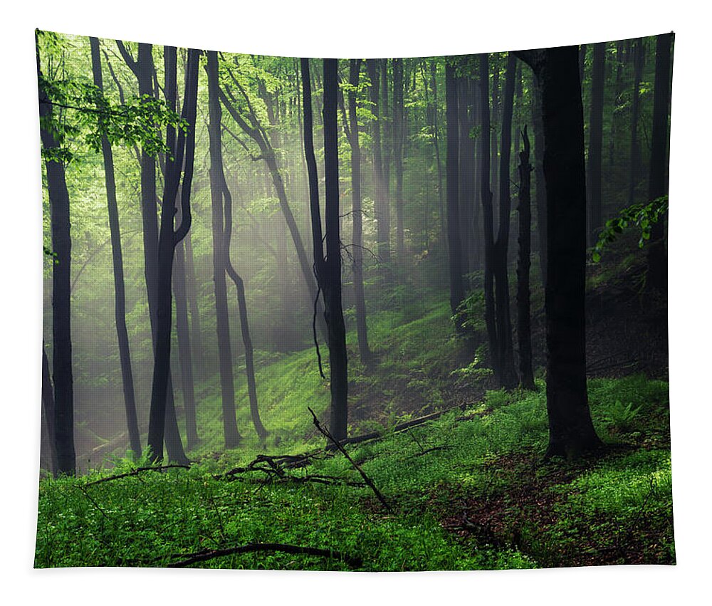 Mist Tapestry featuring the photograph Living Forest by Evgeni Dinev