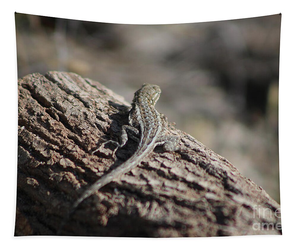 Lizard Tapestry featuring the photograph Lizard on a Log Coachella Valley Wildlife Preserve by Colleen Cornelius