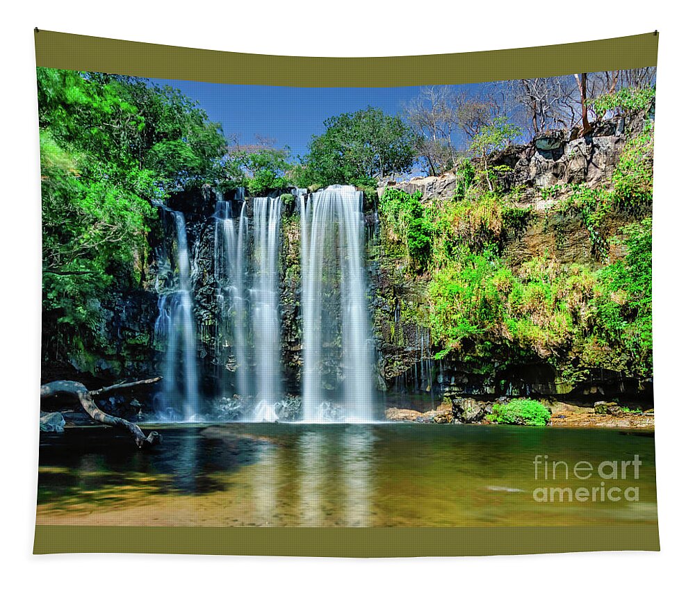 Waterfall Tapestry featuring the pyrography Llanos de Cortez Waterfall by Joseph Miko