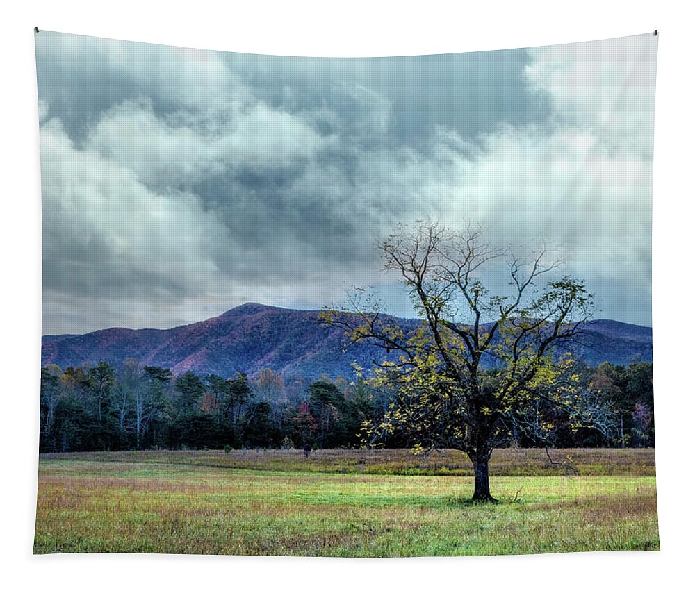 Smokies Tapestry featuring the photograph Lone Tree at Cades Cove Townsend Tennessee by Debra and Dave Vanderlaan