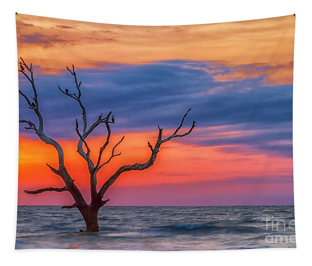South Carolina Tapestry featuring the photograph Lone Tree at Sunrise South Carolina by Teresa Jack