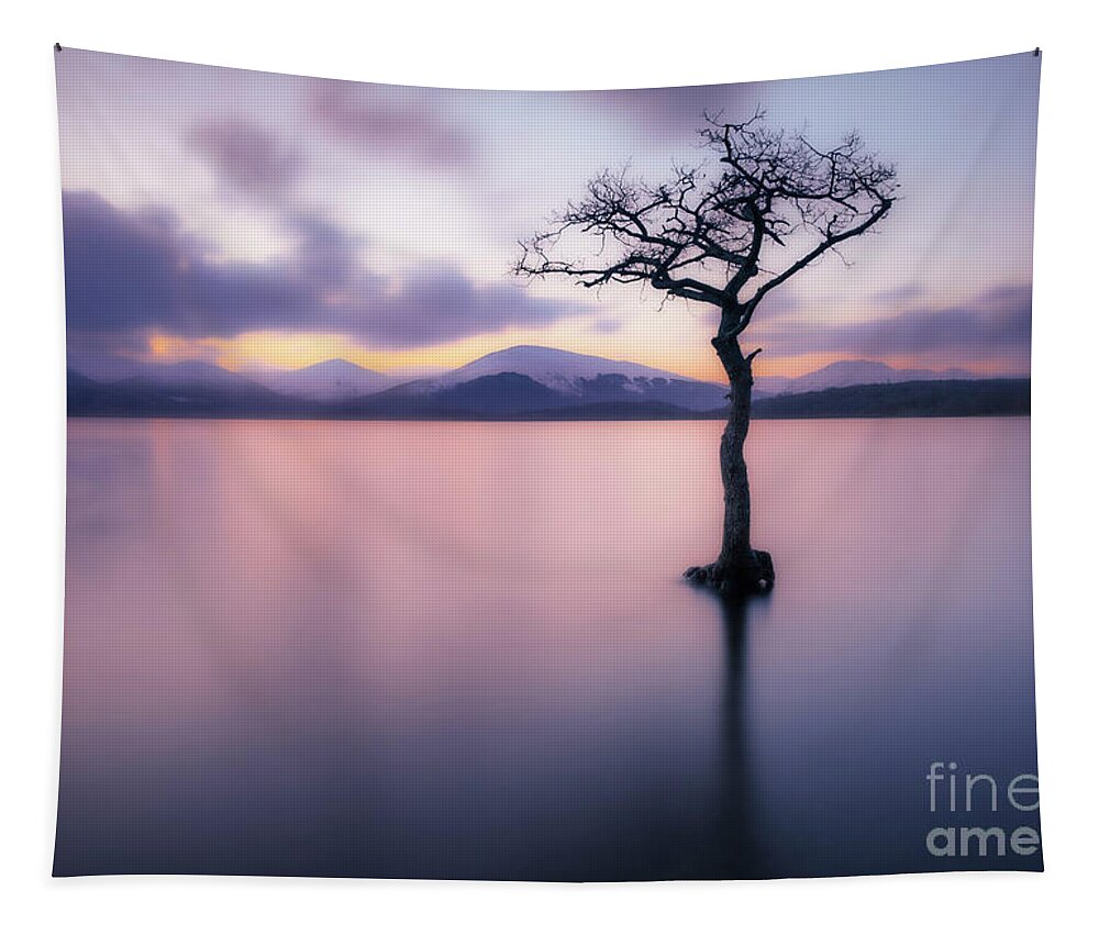 Loch Lomond Tapestry featuring the photograph Lone tree dusk at Milarrochy Bay, Loch Lomond, Scotland by Neale And Judith Clark