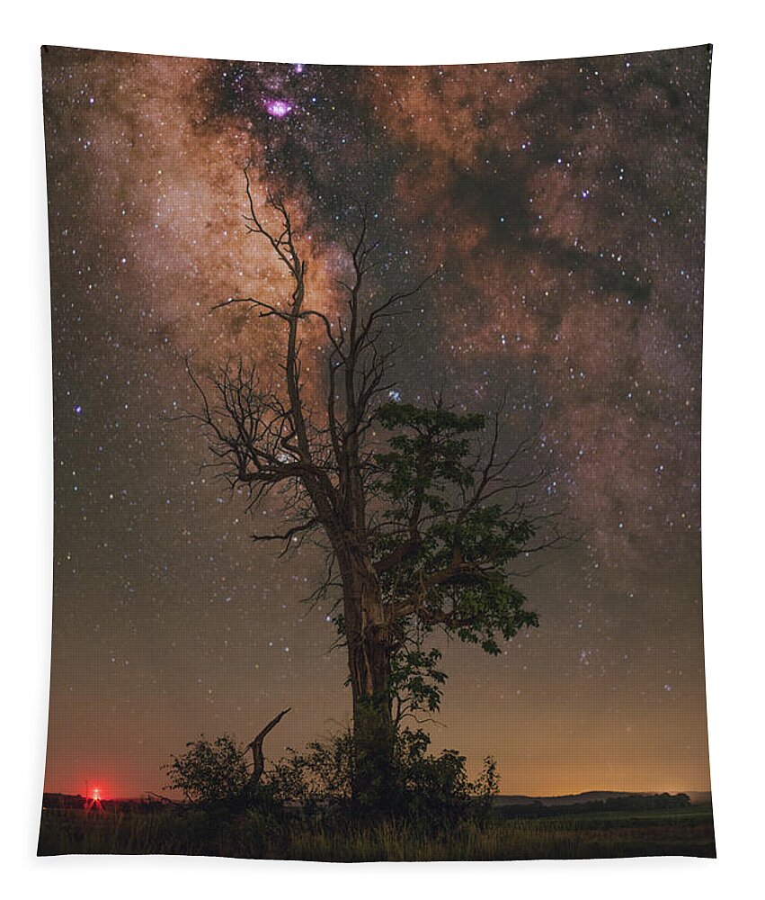Nightscape Tapestry featuring the photograph Lone Tree by Grant Twiss