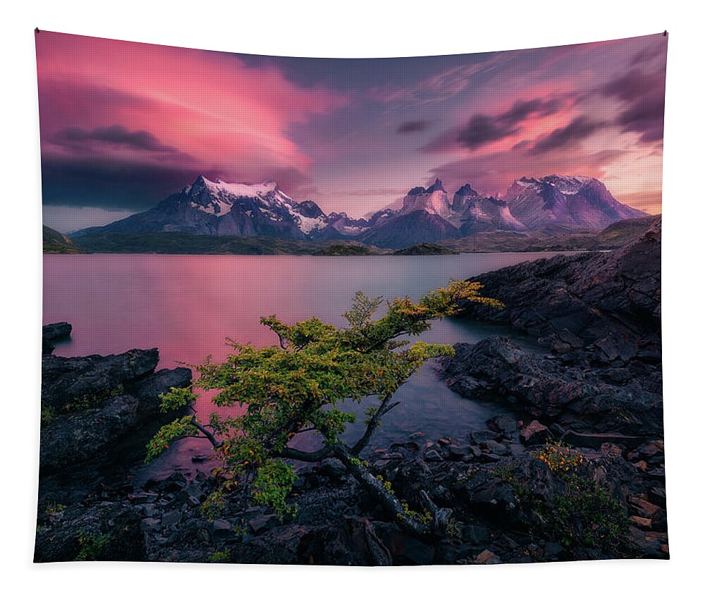 Patagonia Tapestry featuring the photograph Lone Tree by Henry w Liu