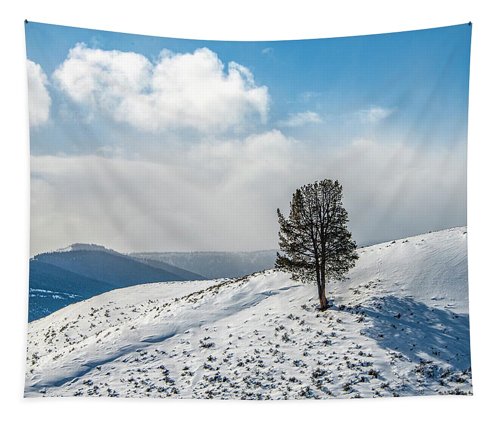 Wyoming Tapestry featuring the photograph Lone Tree Landscape, Yellowstone Winter by Marcy Wielfaert