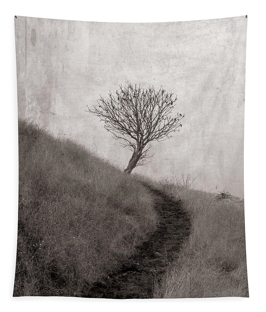 Lone Tree Tapestry featuring the photograph Lone tree where the path ends by Alessandra RC