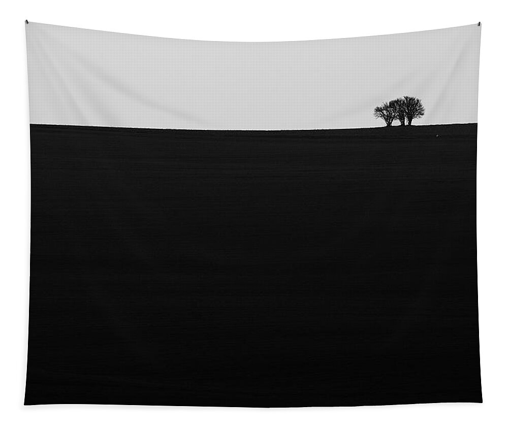 Tree Tapestry featuring the photograph Lonely Trees by Martin Vorel Minimalist Photography