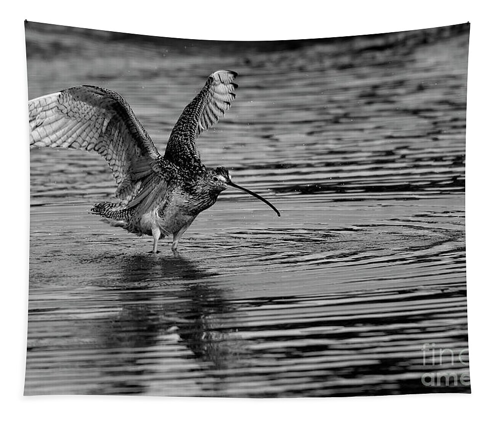 Long Billed Curlew Tapestry featuring the photograph Ripples by John F Tsumas