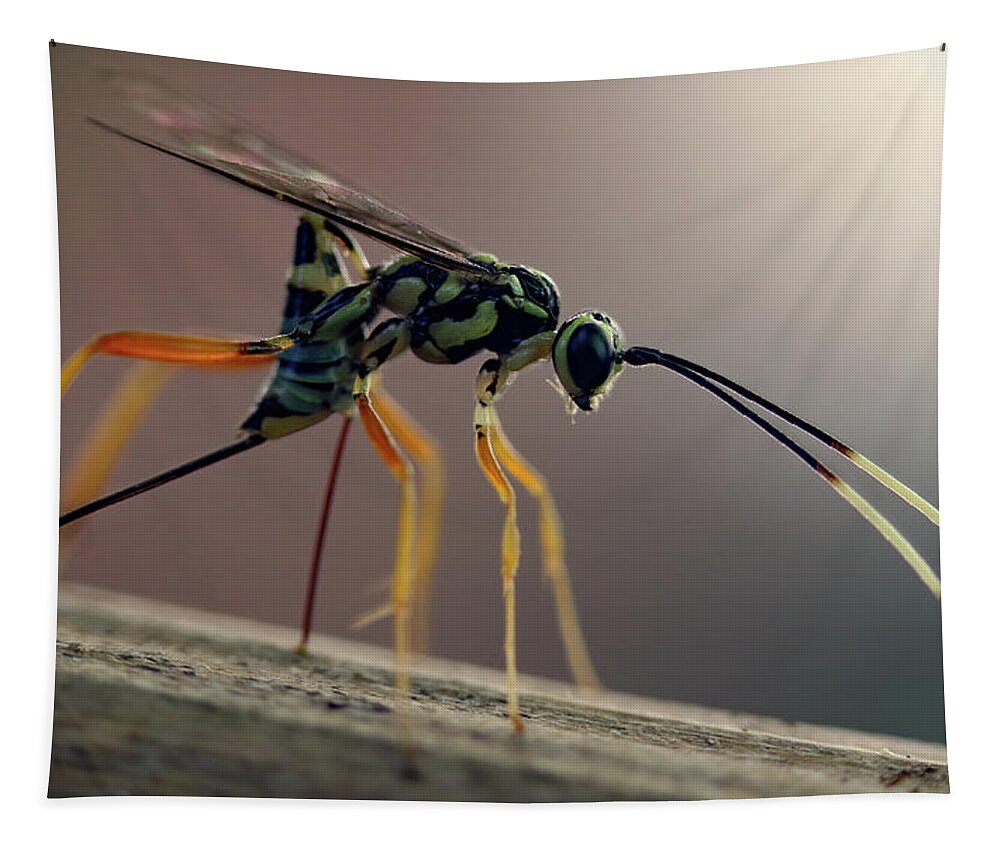Insects Tapestry featuring the photograph Long Legged Alien by Jennifer Robin