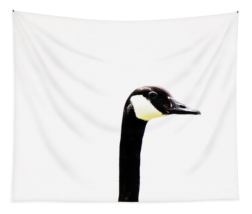 Goose Tapestry featuring the photograph Long Necked by Merle Grenz