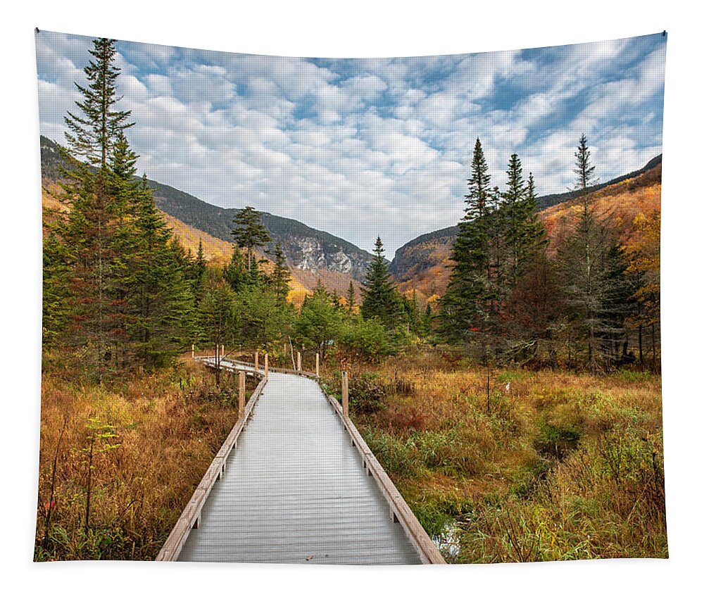 Vermont Tapestry featuring the photograph Long Trail at Smugglers Notch by TS Photo