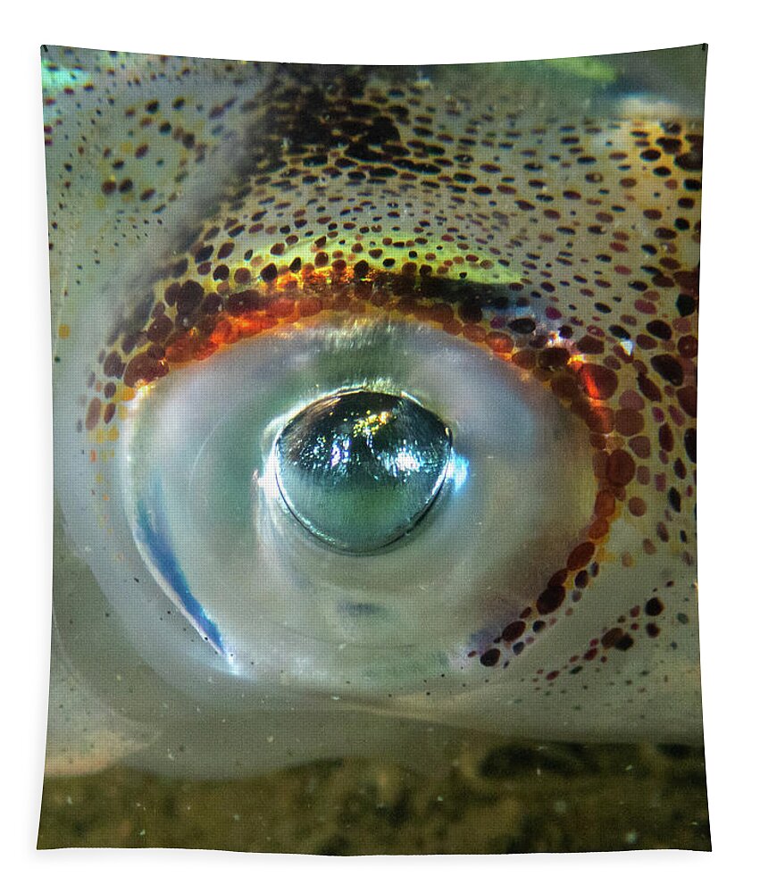 Squid Tapestry featuring the photograph Longfin Squid eye by Brian Weber