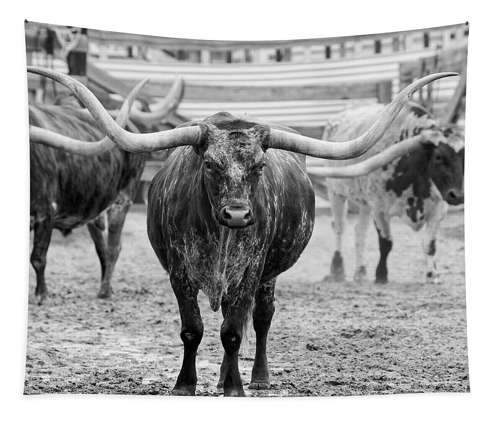 Texas Longhorn Tapestry featuring the photograph Longhorn Leader by Jonathan Davison