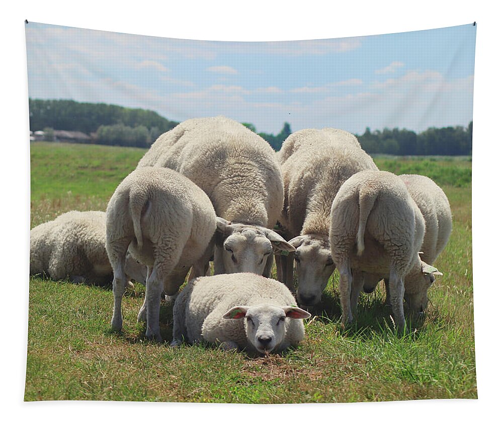 Sheep Tapestry featuring the photograph Looking for me sheep by MPhotographer