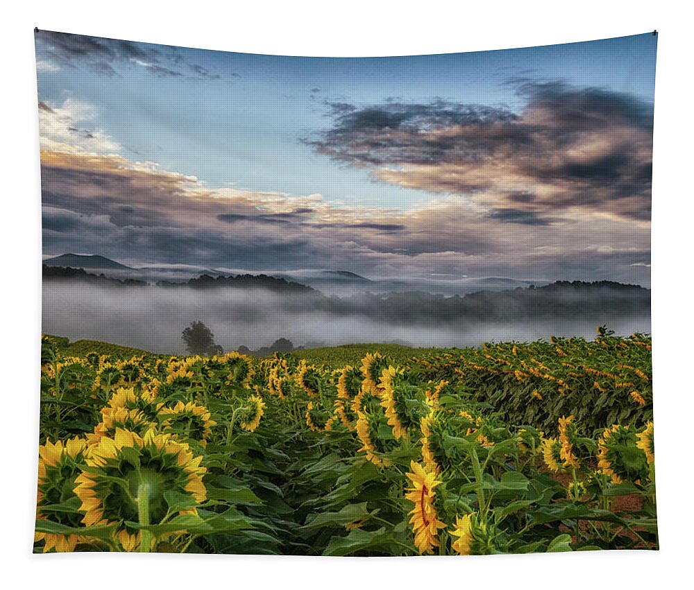 Sunflowers Tapestry featuring the photograph Looking for the Sun by Tricia Louque