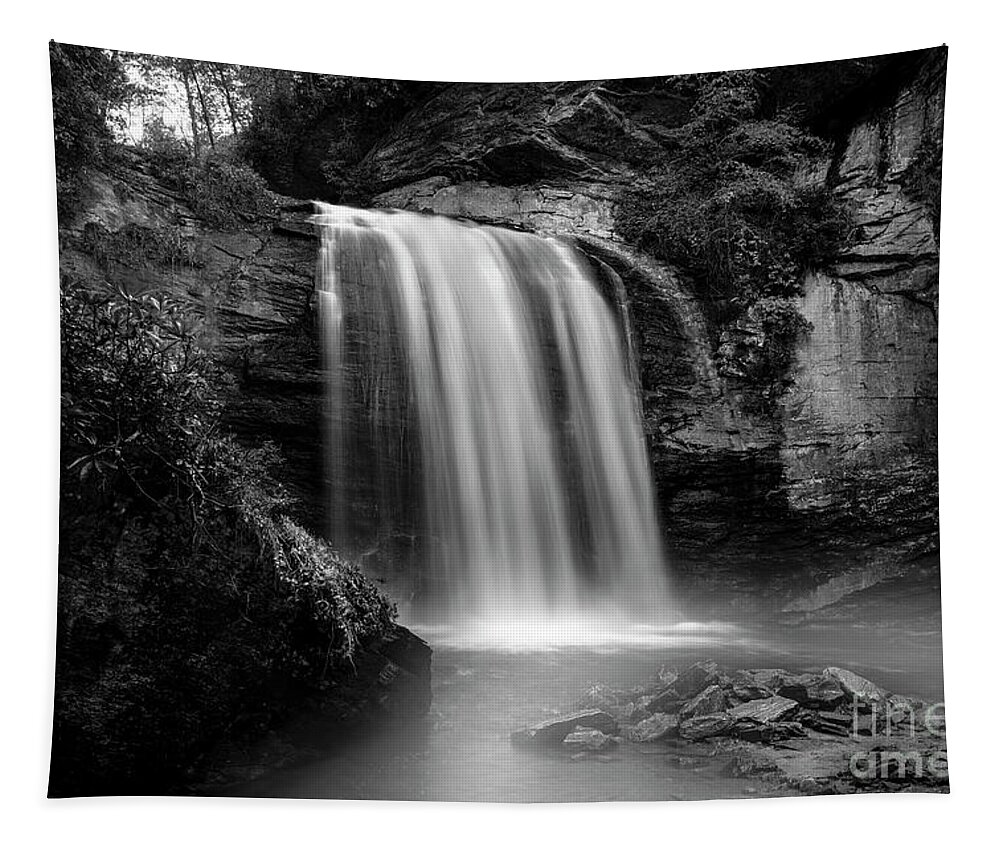 Looking Glass Falls Tapestry featuring the photograph Looking Glass Falls in Black and White by Shelia Hunt