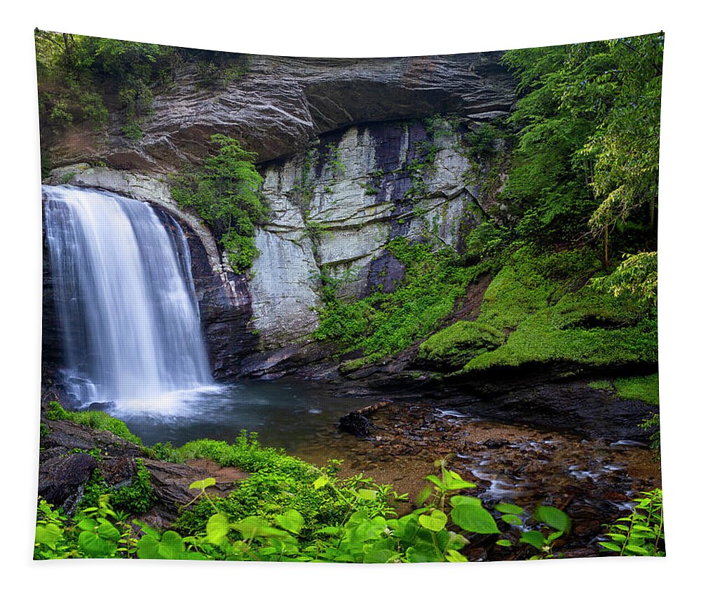3scape Tapestry featuring the photograph Looking Glass Falls, NC by Adam Romanowicz