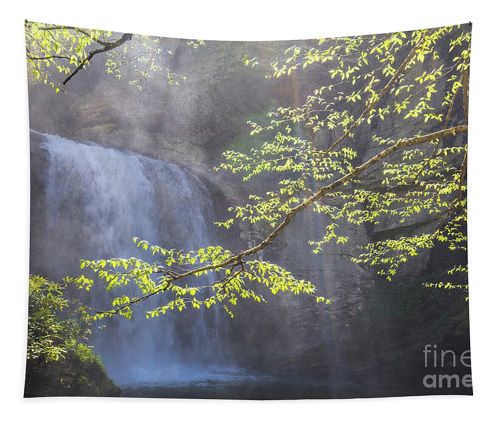 Looking Glass Falls Tapestry featuring the photograph Looking Glass Falls, North Carolina II by Felix Lai