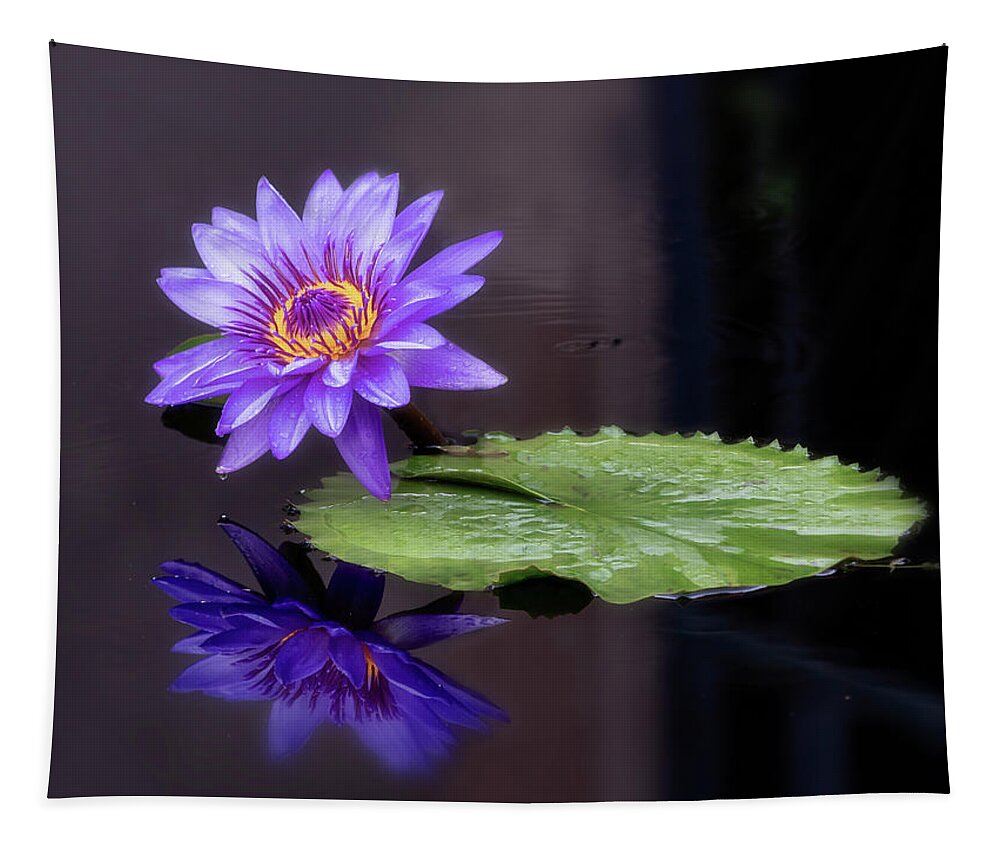 Summer Tapestry featuring the photograph Looking glass. by Usha Peddamatham