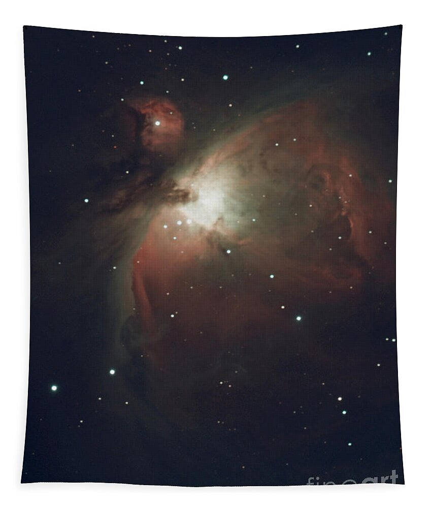 Orion Nebula M42 Tapestry featuring the photograph Looking Up to the Night Sky by fototaker Tony