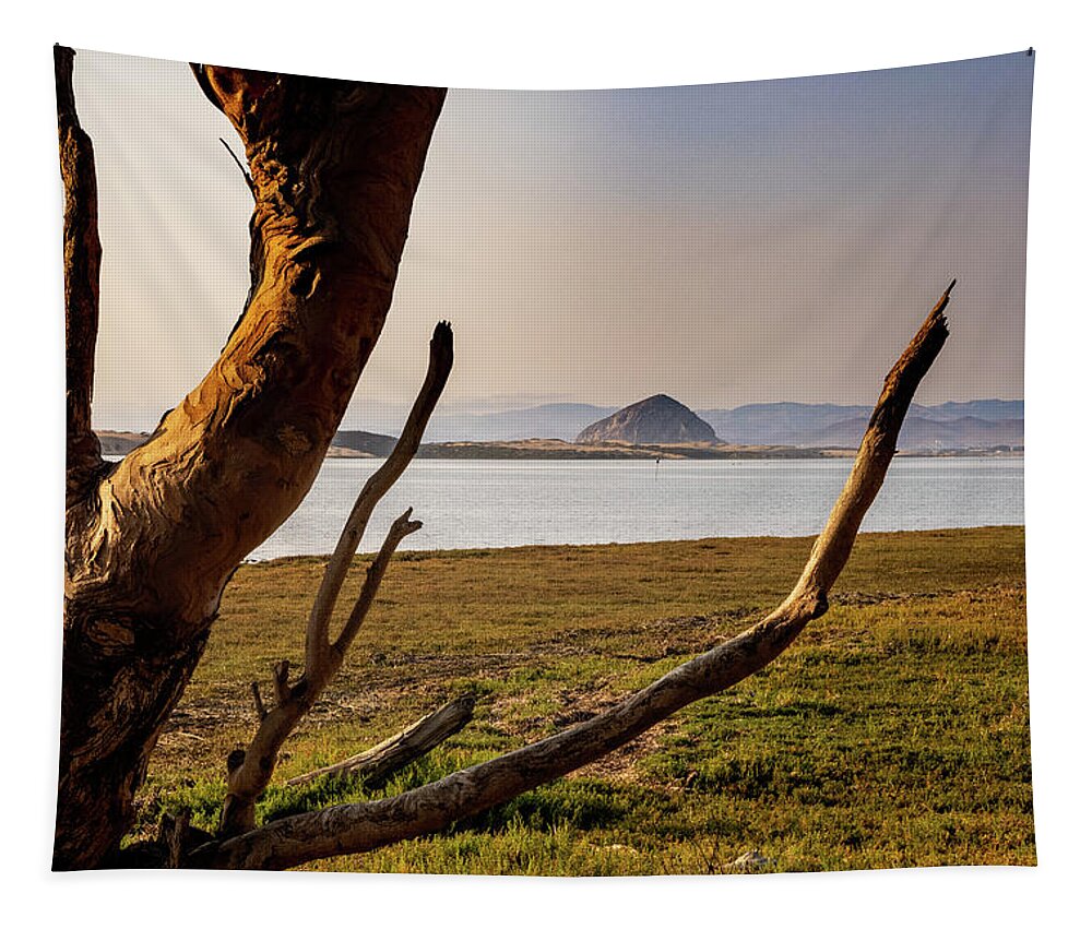  Tapestry featuring the photograph Los Osos by Lars Mikkelsen