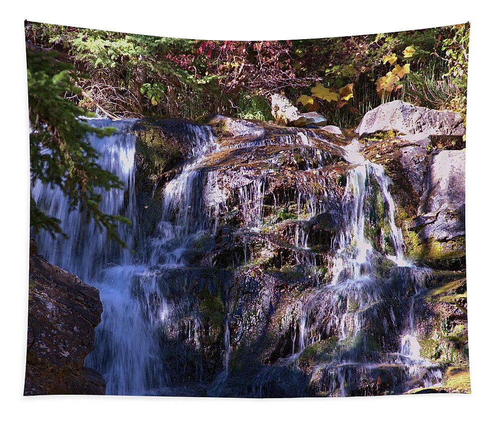 Waterfall Tapestry featuring the photograph Lost Creek Waterfall by Kae Cheatham