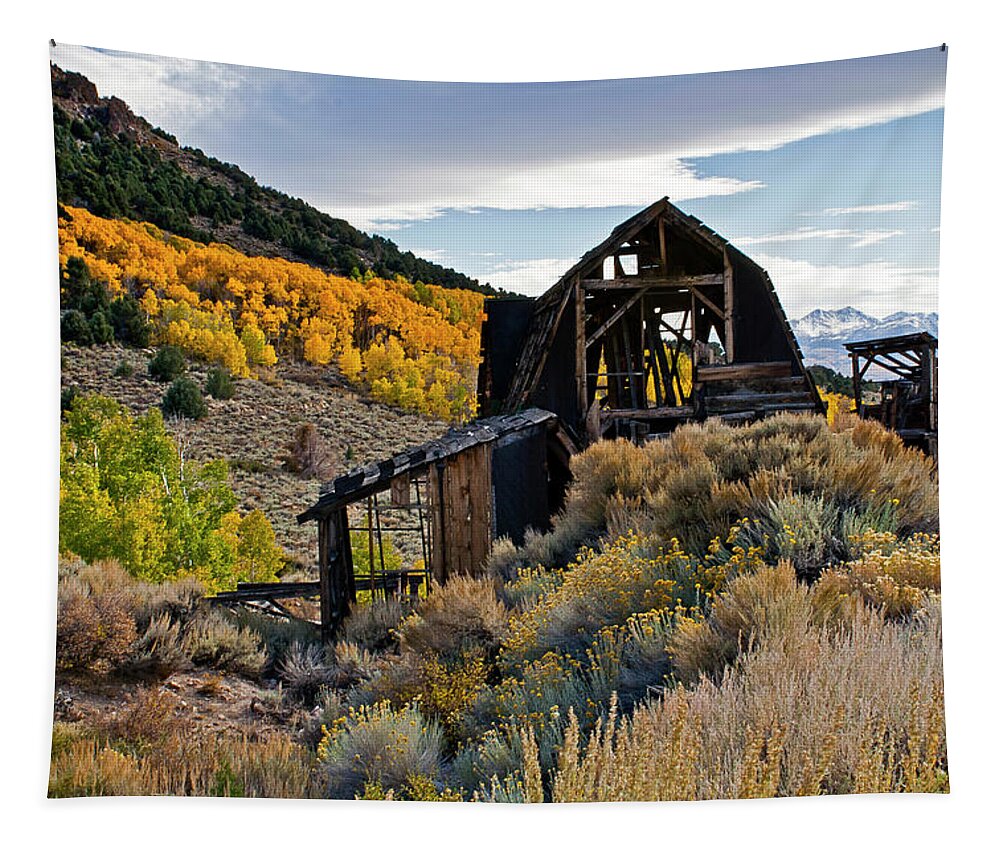 Ghost Town Tapestry featuring the photograph Lost in Time by Ryan Huebel