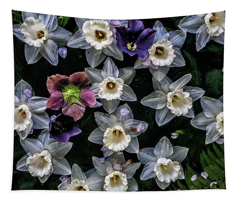 Daffodils Tapestry featuring the photograph Lots of Daffodils by Louis Dallara