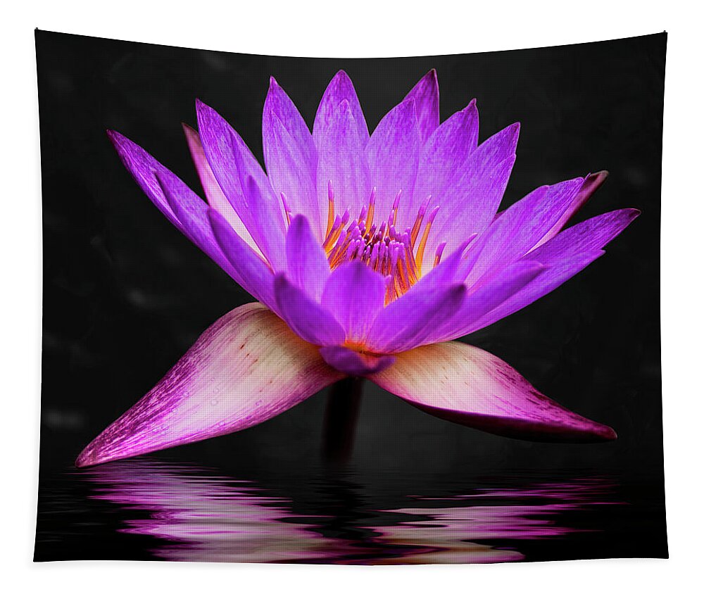 3scape Tapestry featuring the photograph Lotus by Adam Romanowicz