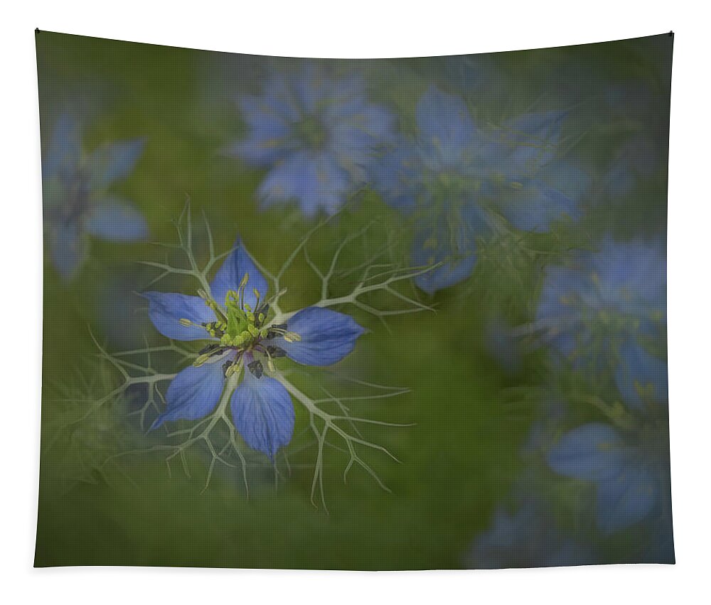 Love In A Mist Tapestry featuring the photograph Love in a Mist in Nature by Sylvia Goldkranz